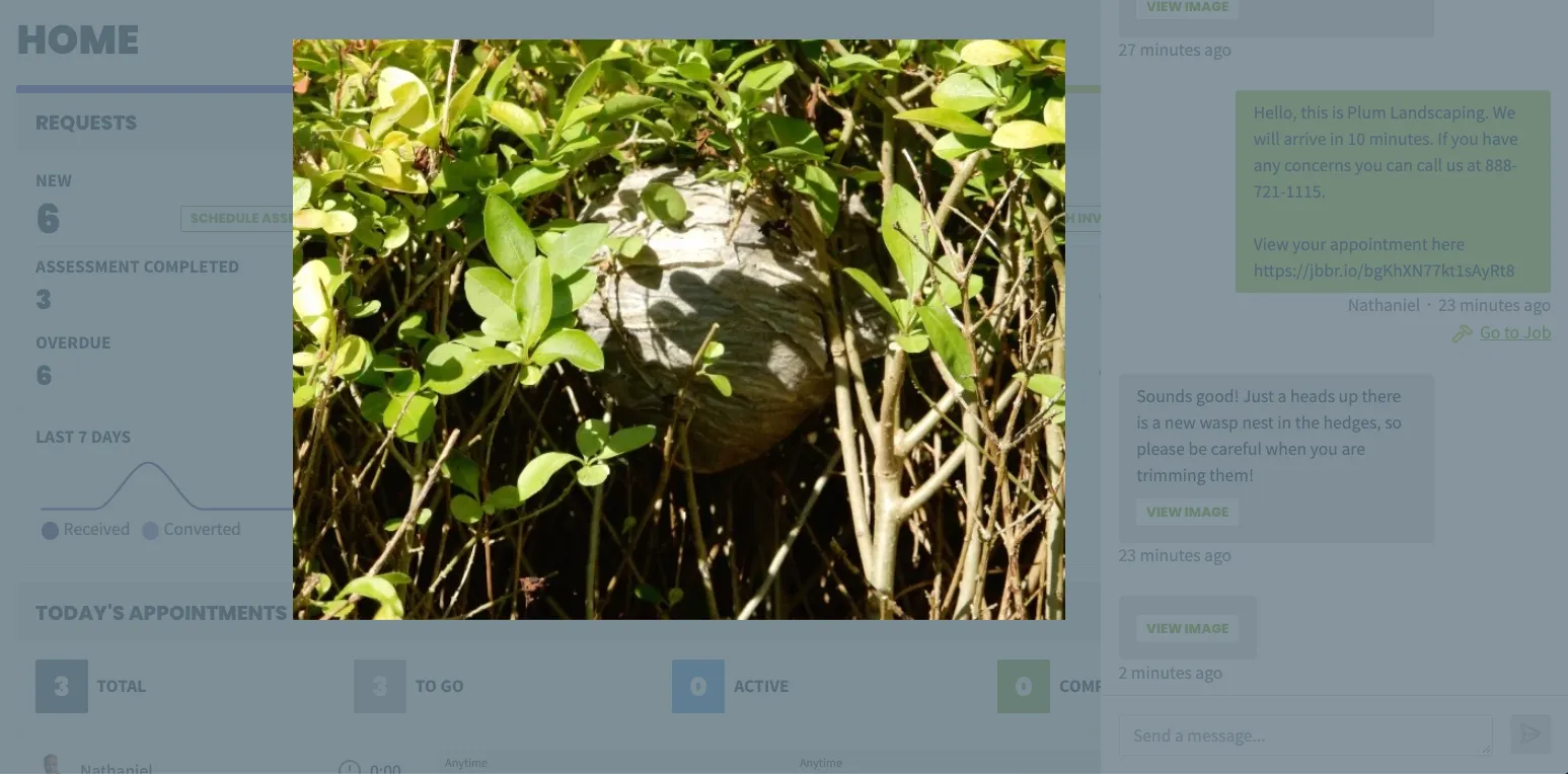image sent by the client of a wasp nest in their yard