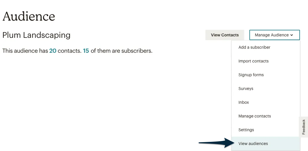 view_audiences.png